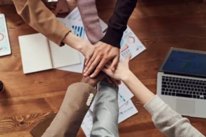 The Power of Allies: How Partnership Strategies Can Boost Business Performance: Learn How to Leverage Partnerships & Collaborations with external organizations to drive innovation and business growth!